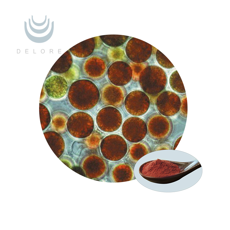 Haematococcus Pluvialis Extract