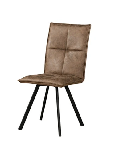 fashion dining chair