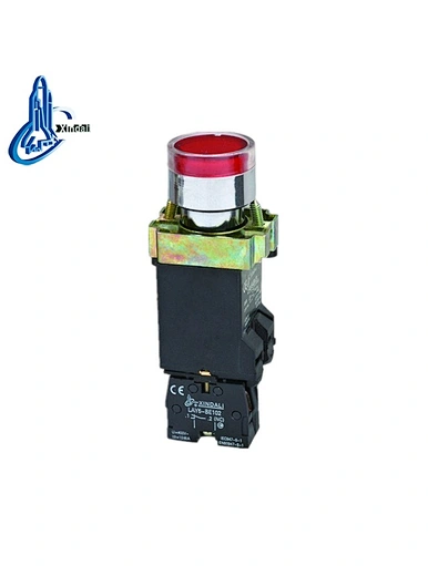 push button switch led