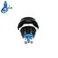 illuminated button switch 12mm