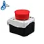 mushroom box