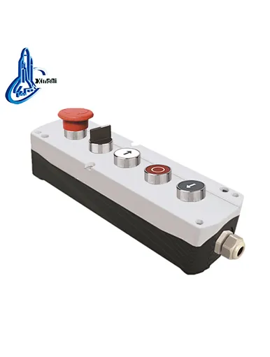 push button with switch