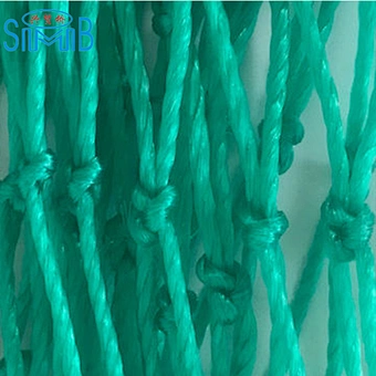 Plastic PE Fishing Net