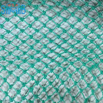 Plastic PE Fishing Net