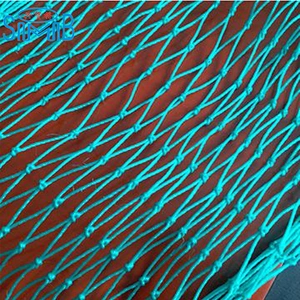 Plastic PE Fishing Net