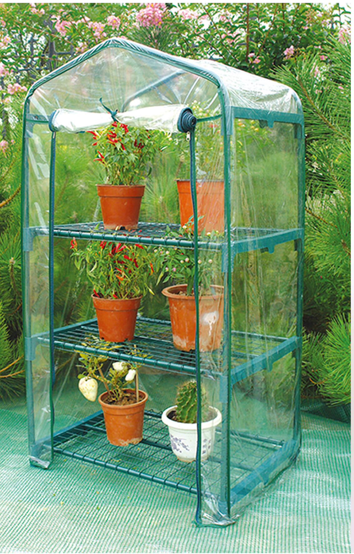 3 Layers Green house