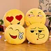stuffed cushion pillow