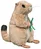 soft marmot