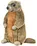 soft marmot
