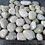 white pebble stone