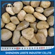 Cobble Pebble Pavers