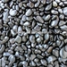 pebble stone wholesale