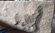 limestone wall cladding