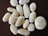 garden pebble stone