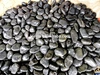 Polished Black Pebble
