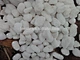 pebbles stone