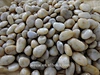 white pebble stone