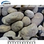 Natural Pebble Stone