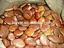 polished pebble
