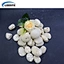 garden pebble