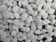 pebbles stone