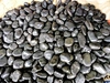 polished pebble