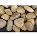 polished pebble