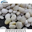 Natural Pebble Stone