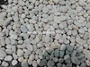 Landscape River Pebble