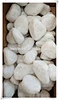 garden pebble stone