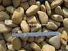 mixed pebble stone
