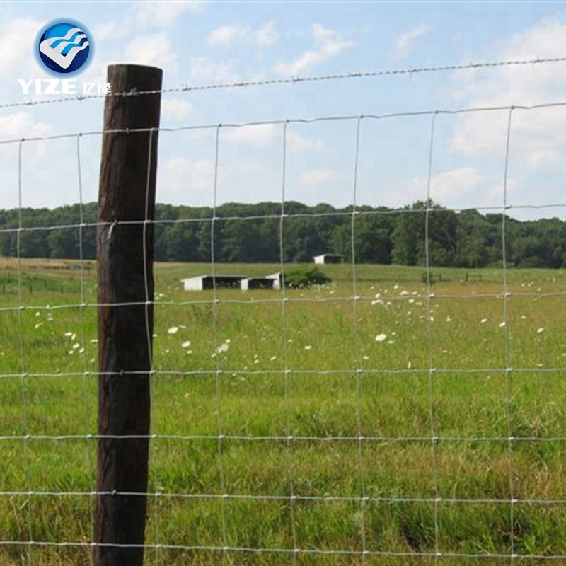 China factory products for snail farm