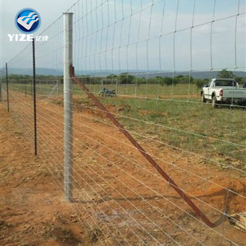Wildlife fence for security from China hot sale