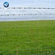 Factory direct sale cheap cattle fence wire mesh for livestock (YIZE)