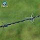 design drawing barb wire and professional manufacture