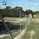 cattle panels