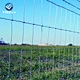 farm guard field fence