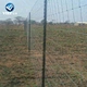 wire mesh cattle fence