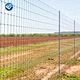 wire mesh cattle fence