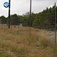 cattle panels