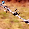 cheap barbed wire