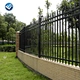 backyard fence