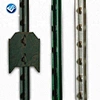 Steel Studded T Post