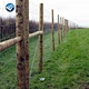 cattle fence grass fence
