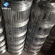 electric fence for cattle