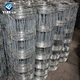 Sheep wire fence/ forestry fence export to Australia , New zealand , USA
