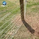 basketball field cost