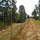 wire mesh cattle fence