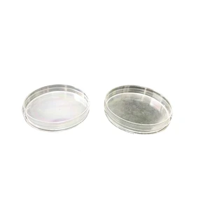 Professional Design Precision Petri Dish Mould