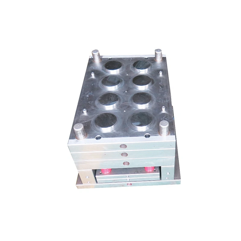 Professional Design Precision Petri Dish Mould